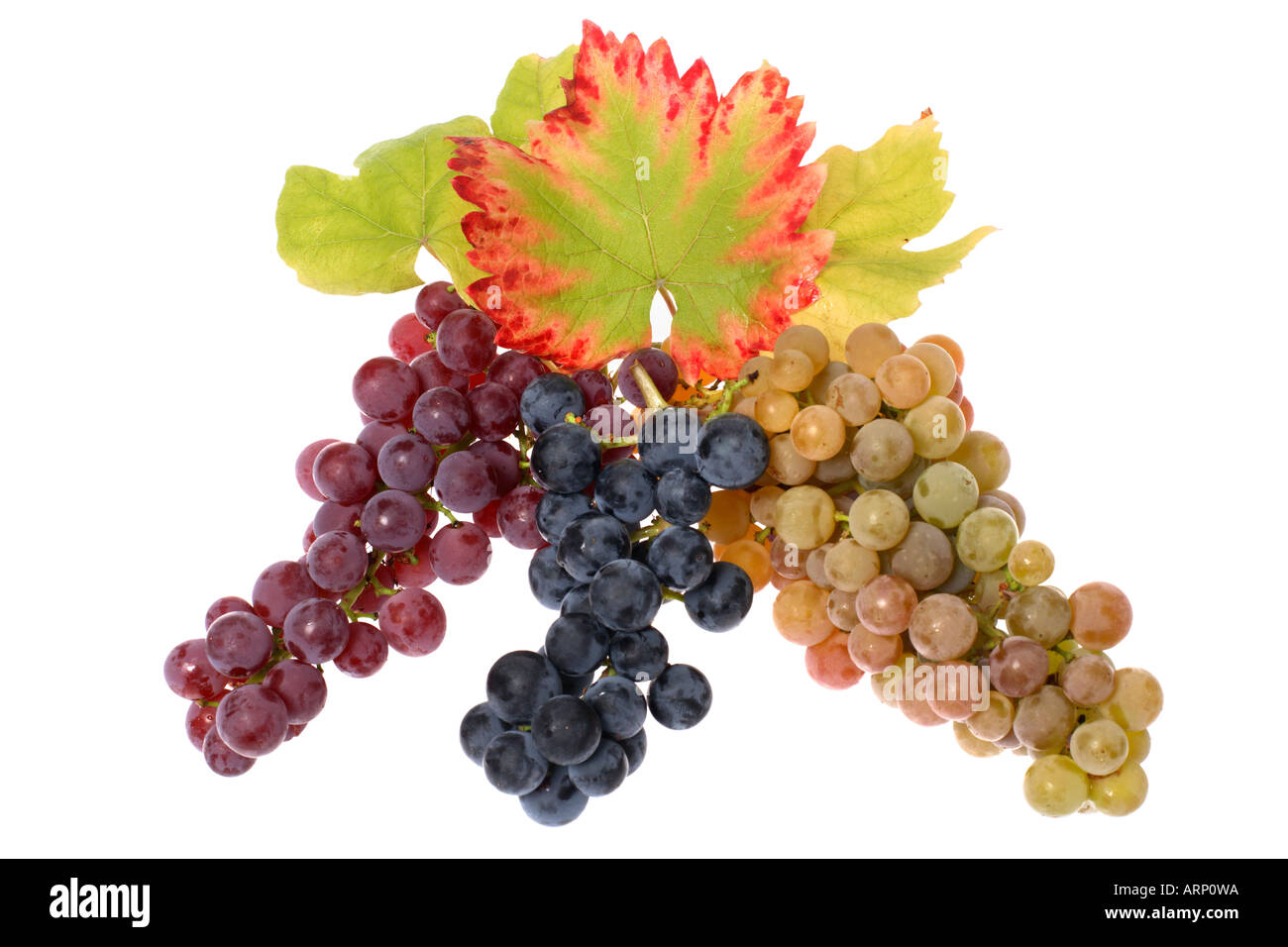 Trois couleurs de raisins Banque D'Images