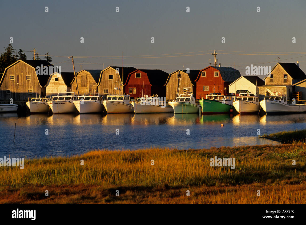 Malpeque Harbour Prince Edward Island Canada Photo Stock Alamy