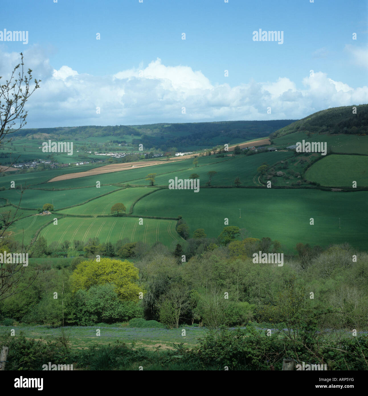 Devon valley terre agricole avec des champs de cultures et de bois au printemps près de Sidmouth Banque D'Images