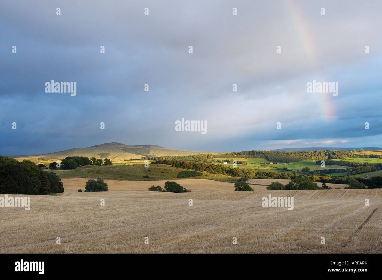 À l'est sur les terres arables de maïs récolté à un mille au nord de la campagne dans la région des Borders Hawick d'Écosse Banque D'Images