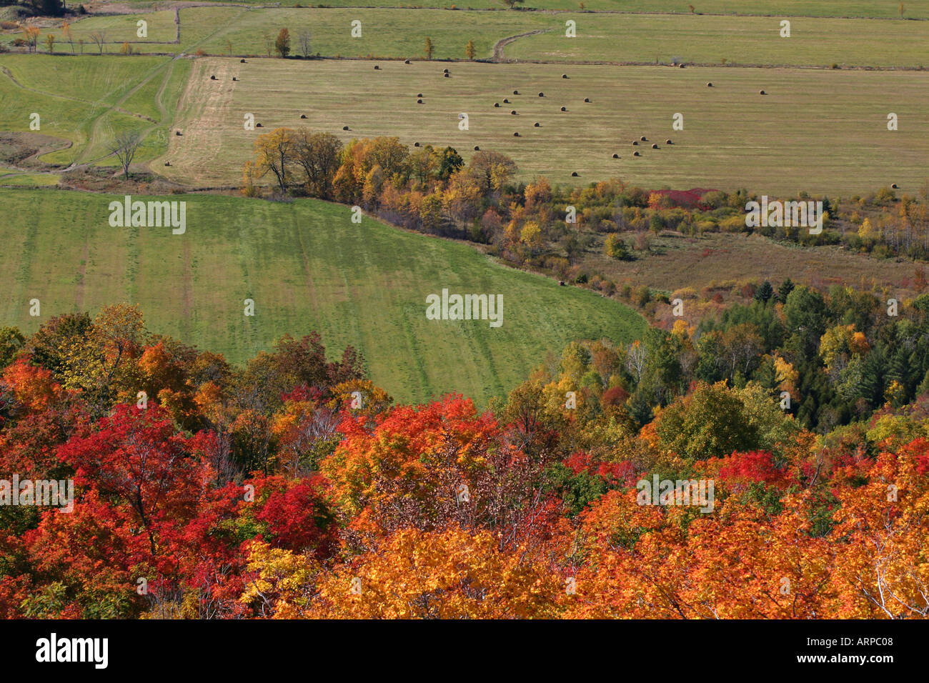 Champs et forêt automne feuilles et champs dans la vallée de la rivière Ottawa belvédère Champlain Le Parc de la Gatineau Québec Canada Banque D'Images