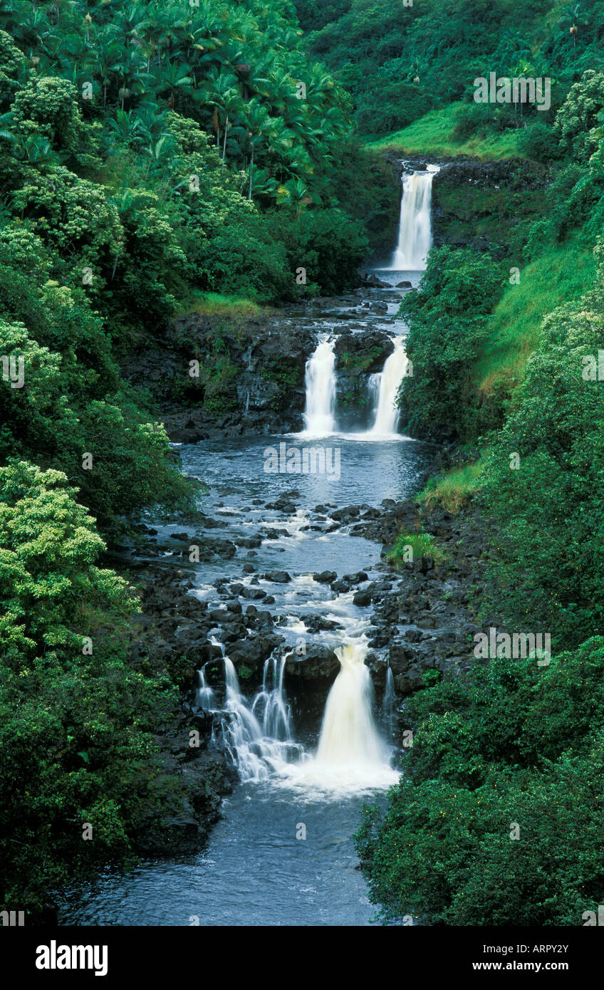 Chutes d'Umauma sur Stream vu de jardins du monde lookout Hamakua Coast Island of Hawaii Banque D'Images