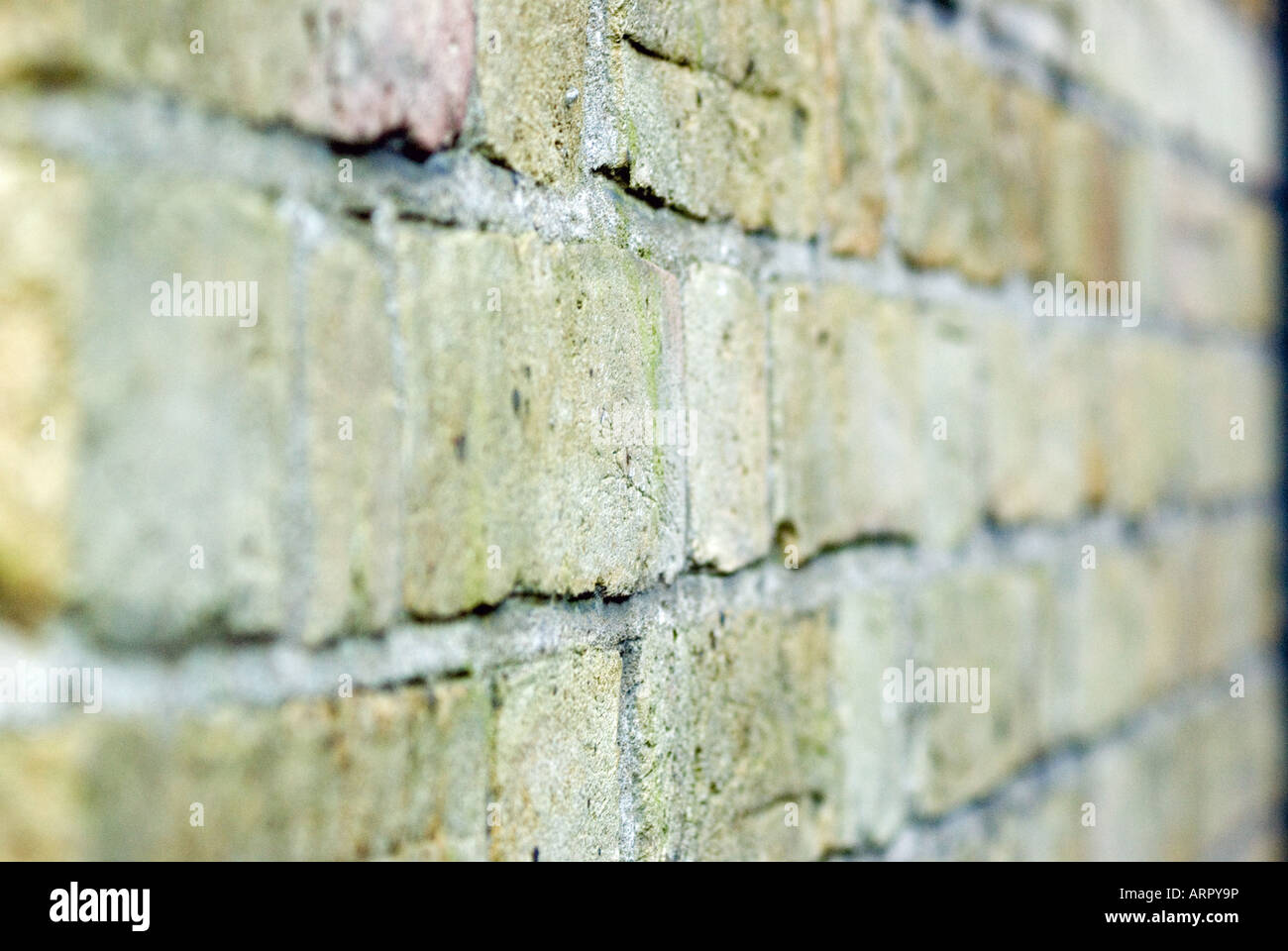 mur de briques Banque D'Images