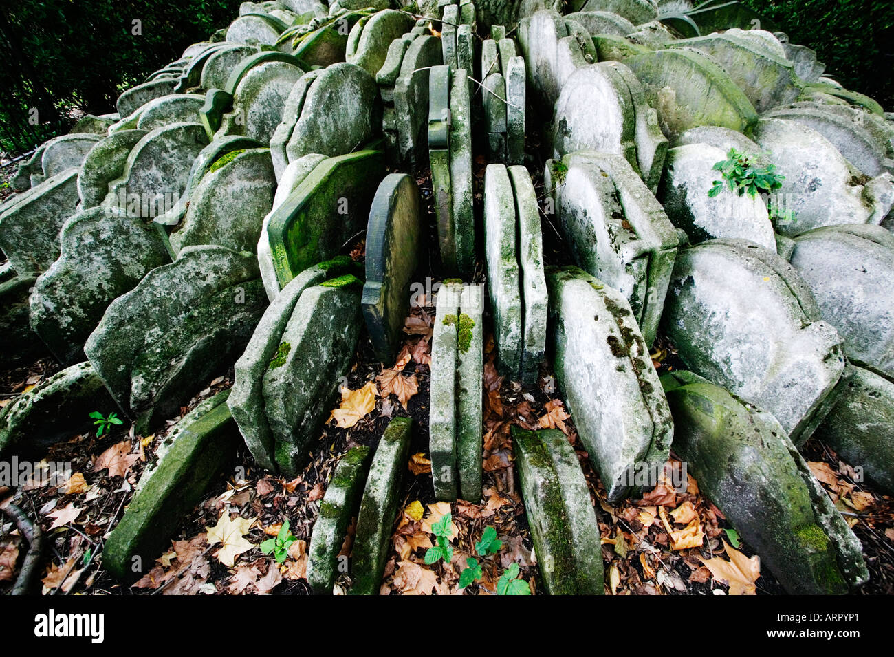 L'arbre rustique au cimetière de St Pancras Banque D'Images