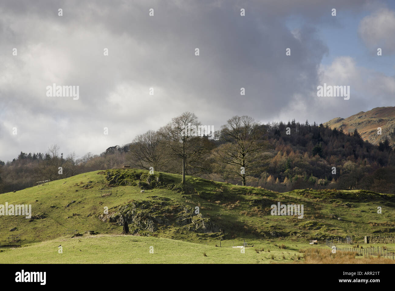 Une vue de la The Langdales de Loughrigg 'Tarn' Parc National de Lake District, Cumbria (Royaume-Uni) Banque D'Images