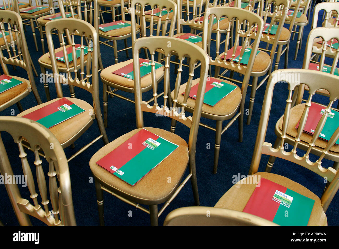 Des chaises disposés en rangées à l'intérieur de cause, comme un mariage ou une réunion d'absence de la ligne horizontale, l'abondance même de ligne show Banque D'Images