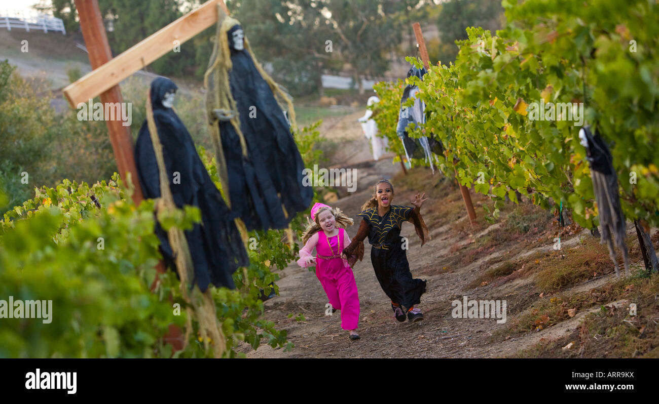 Deux jeunes filles en costume d'exécution à travers les vignobles du vin de l'Ranch Longshadow et Winery à Temecula, Californie Banque D'Images