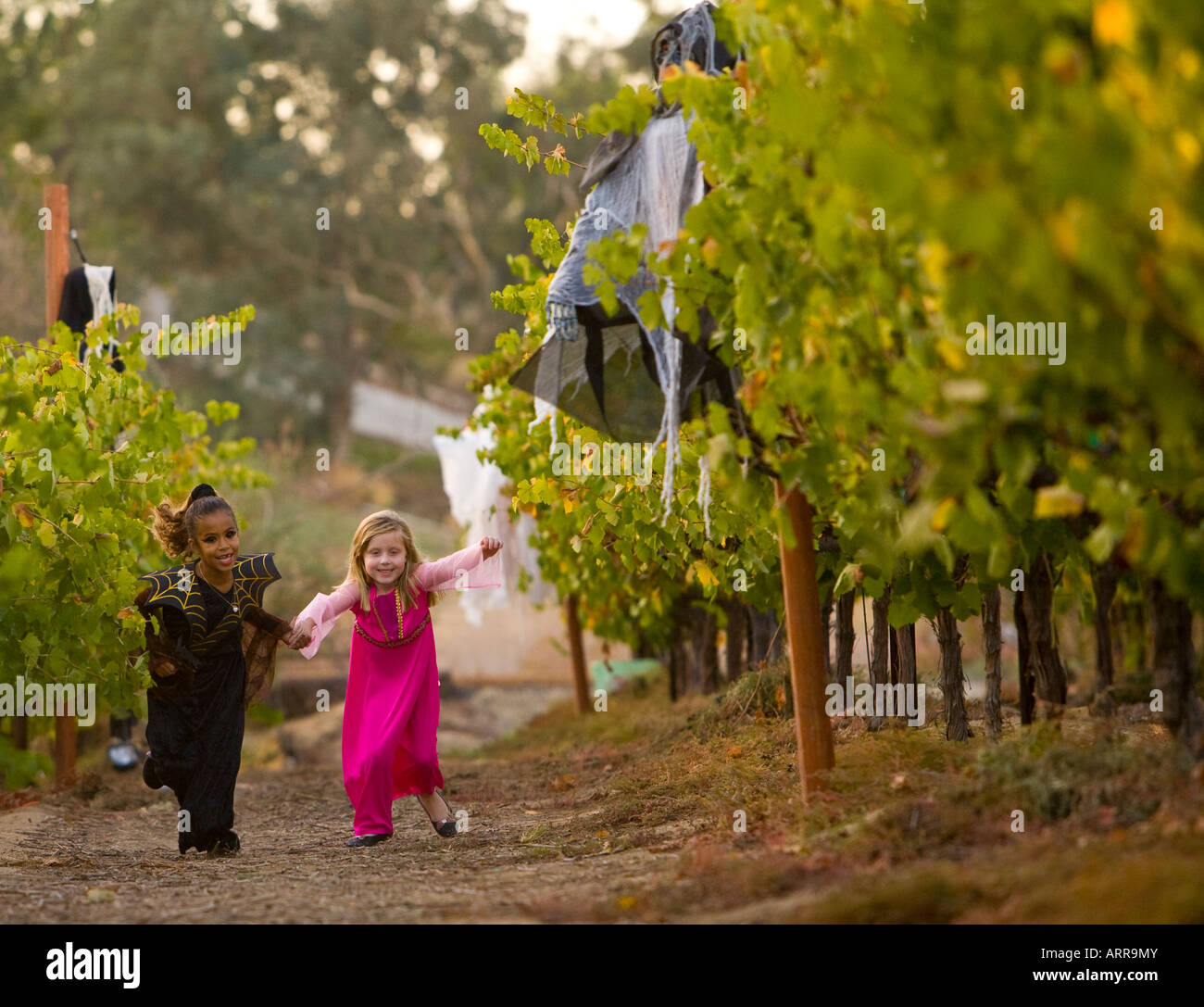 Deux jeunes filles en costume d'exécution à travers les vignobles du vin de l'Ranch Longshadow et Winery à Temecula, Californie Banque D'Images