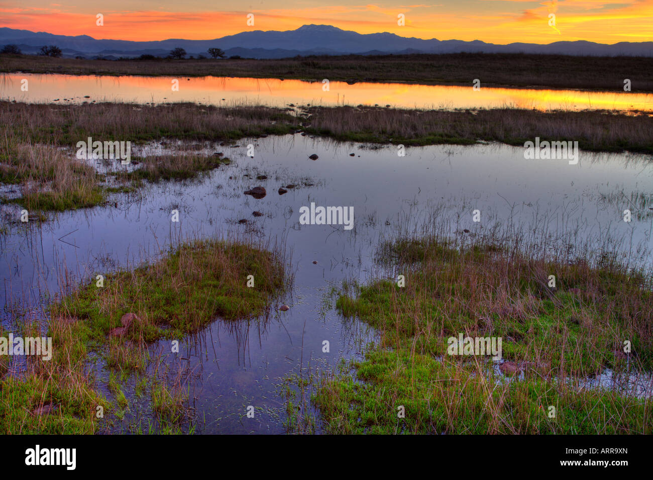 Début morining lever du soleil sur les mares printanières de la réserve écologique du Plateau de Santa Rosa Comté de Riverside en Californie usa Banque D'Images