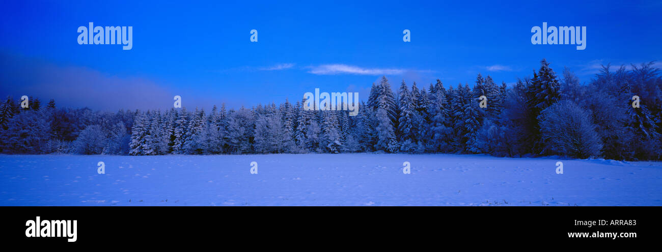 Terre hiver étonnant forêt de Bavière la Bavière en Allemagne. Photo par Willy Matheisl Banque D'Images