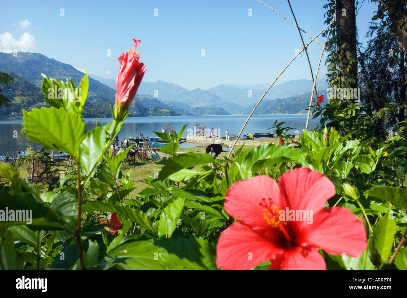 Le Lac Phewa à Pokhara sarangkot outlook panorama himalayen vallée de Katmandou NÉPAL ANNAPURNA region Asie Banque D'Images