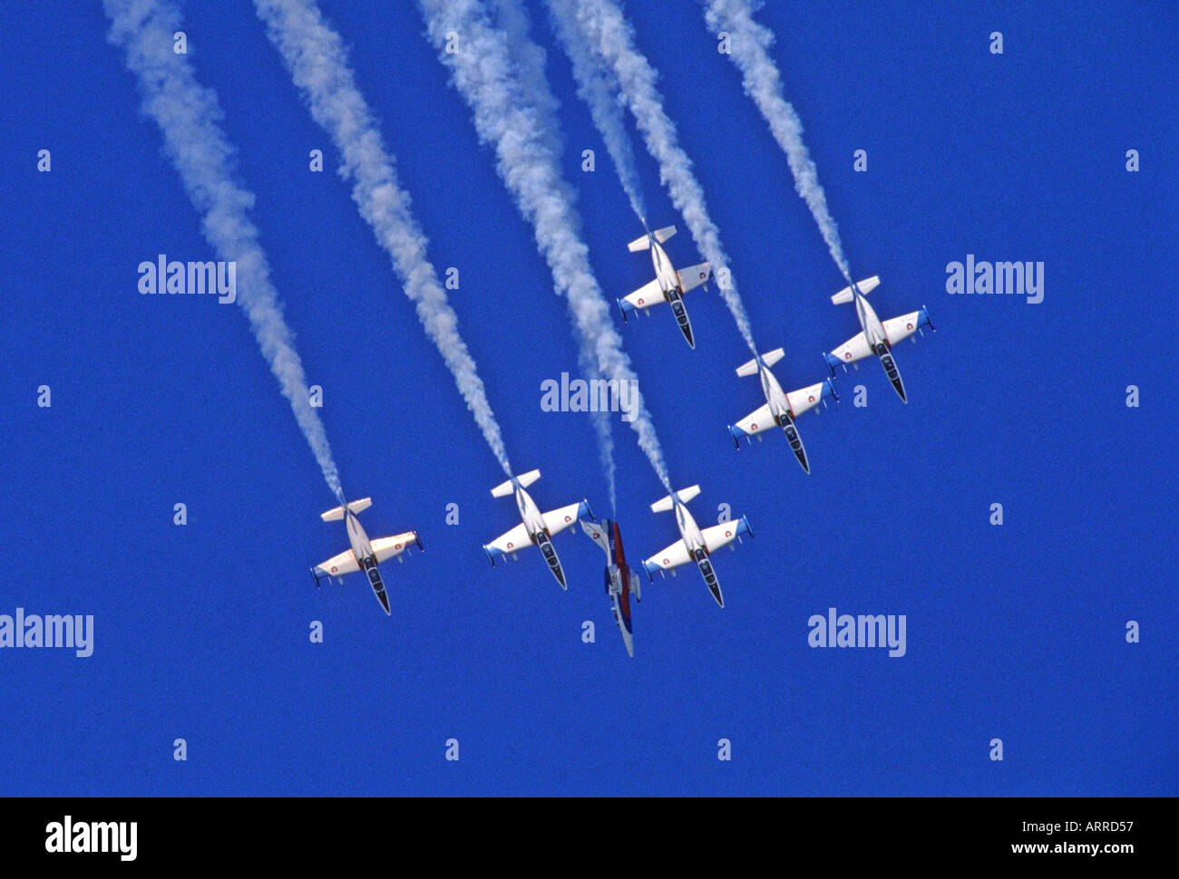 Aero L-39 Albatros vol en formation Banque D'Images