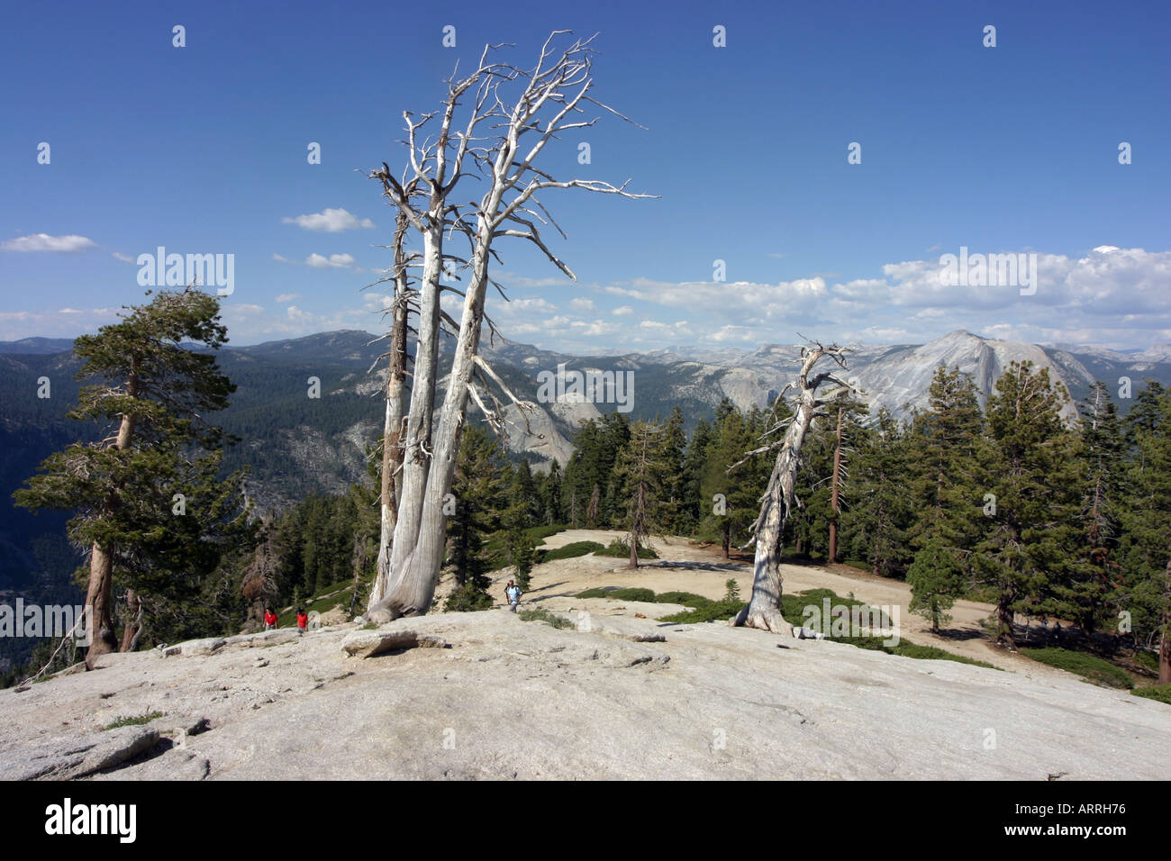 Les marcheurs grimper Sentinel Dome, Yosemite National Park, États-Unis Banque D'Images
