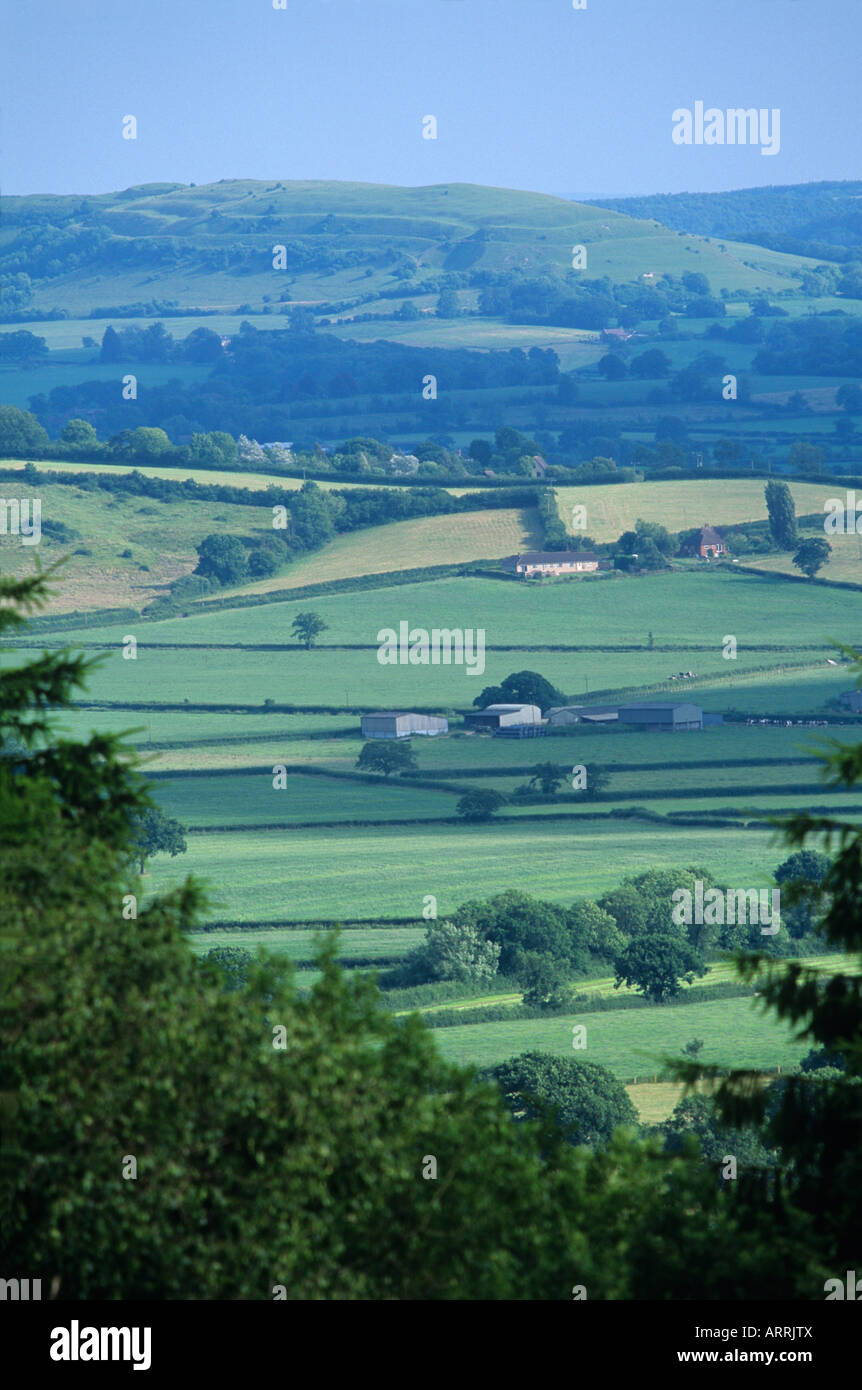 Terres agricoles en vertu de Hambledon Patchwork Hill Fort, Dorset, Angleterre. Banque D'Images