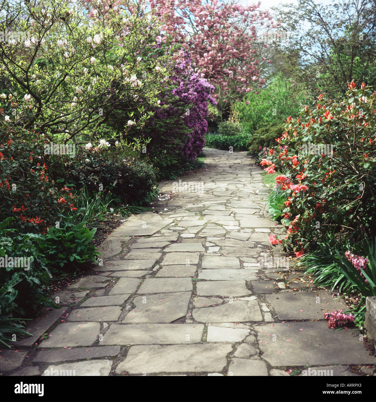 Chemin dans un jardin Banque D'Images