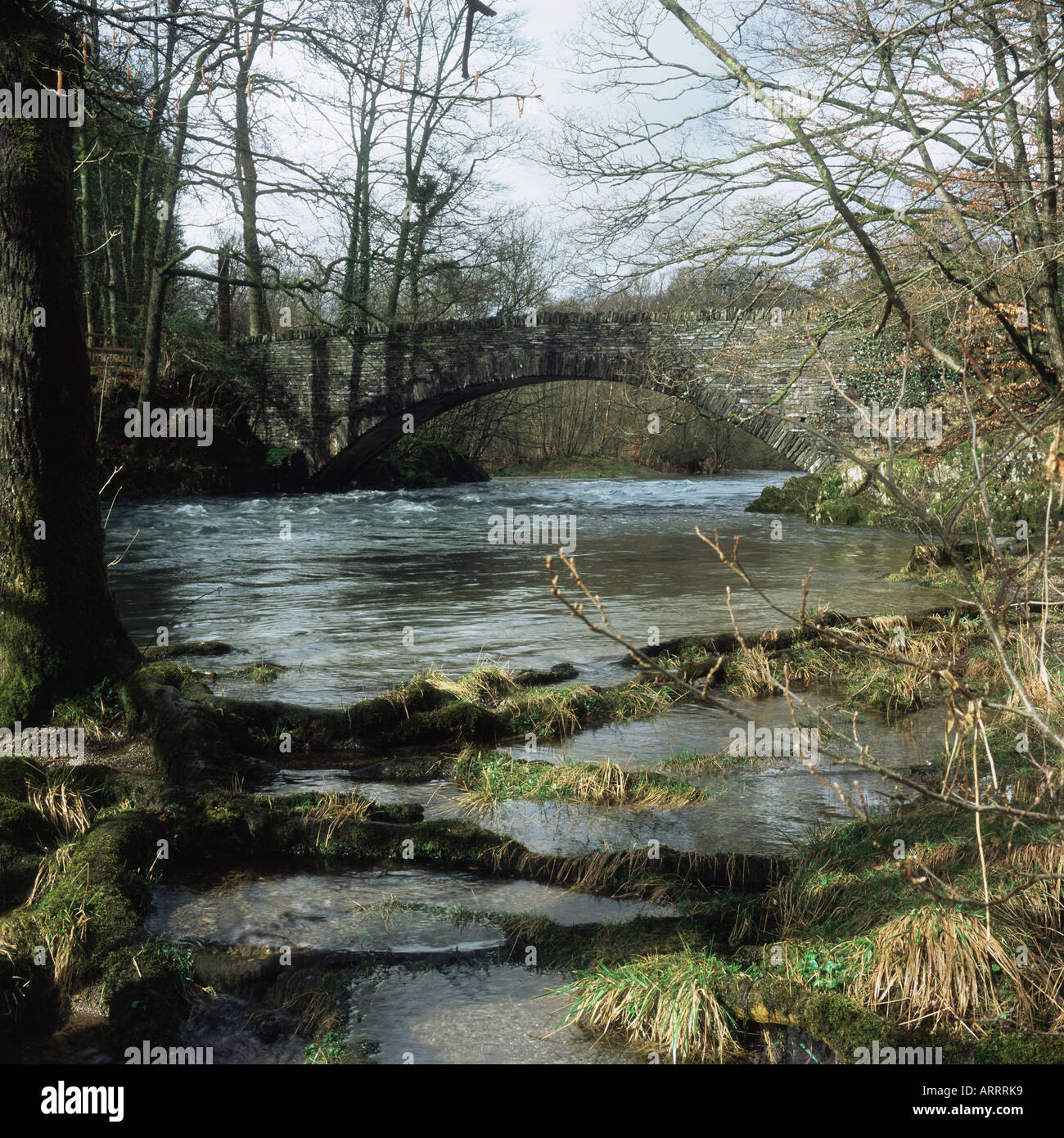 Pont de pierre sur la rivière Banque D'Images