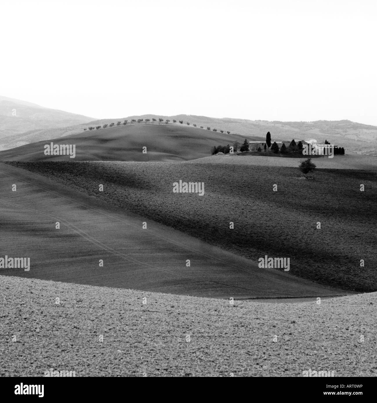 Ferme toscane typique dans le Val d'Orcia, Toscane, Toscane, Italie, près de San Quirico d'Orcia, en noir et blanc Banque D'Images