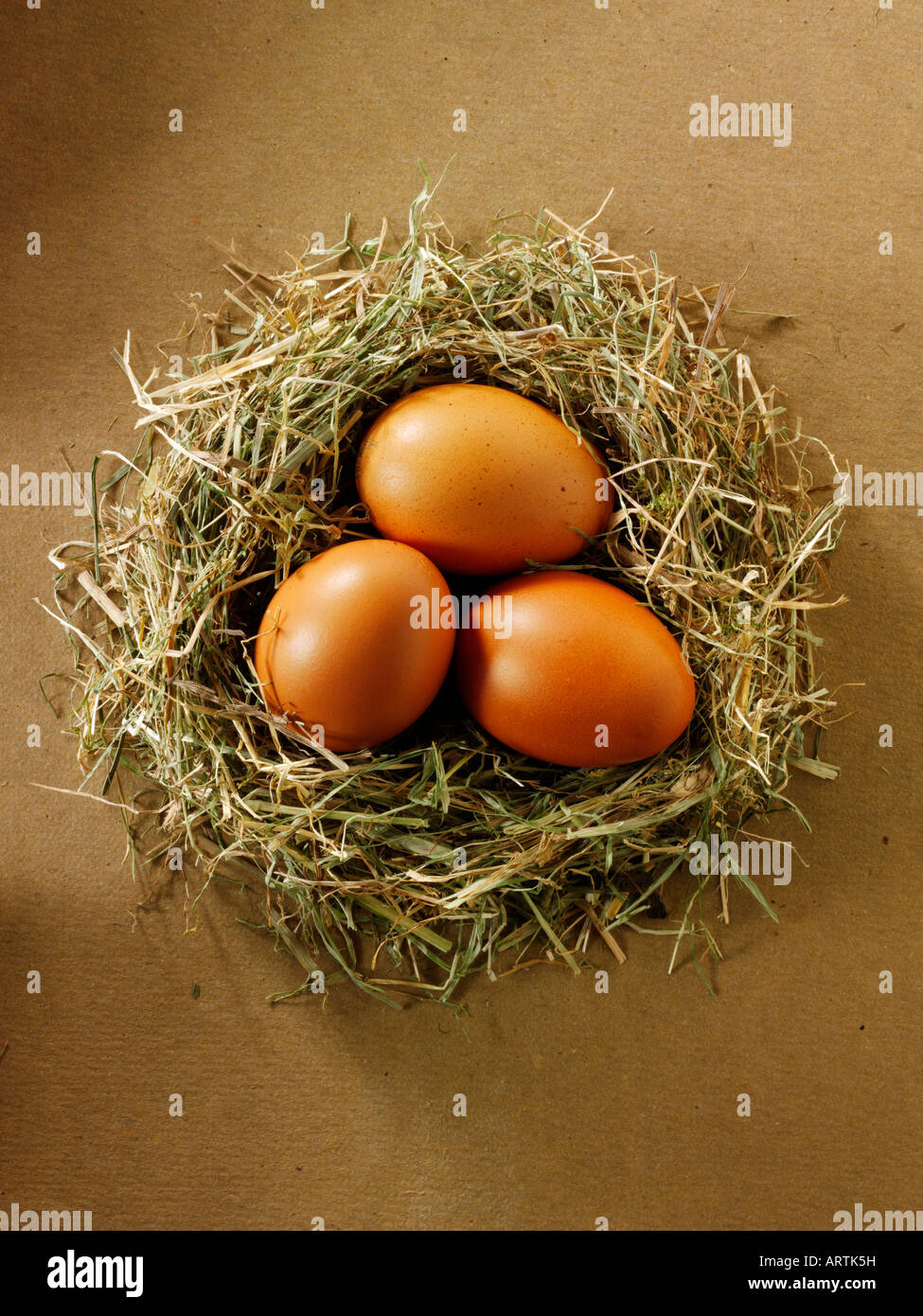 Burford poulet biologique brun oeufs dans un nid Banque D'Images