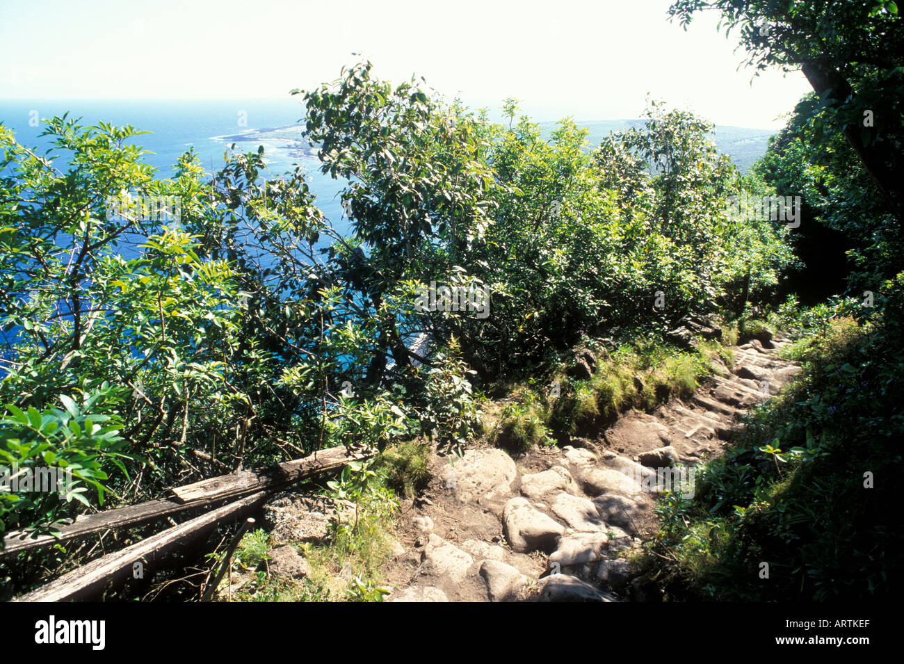 Le sentier en lacet gerpinnes à Kalaupapa Banque D'Images