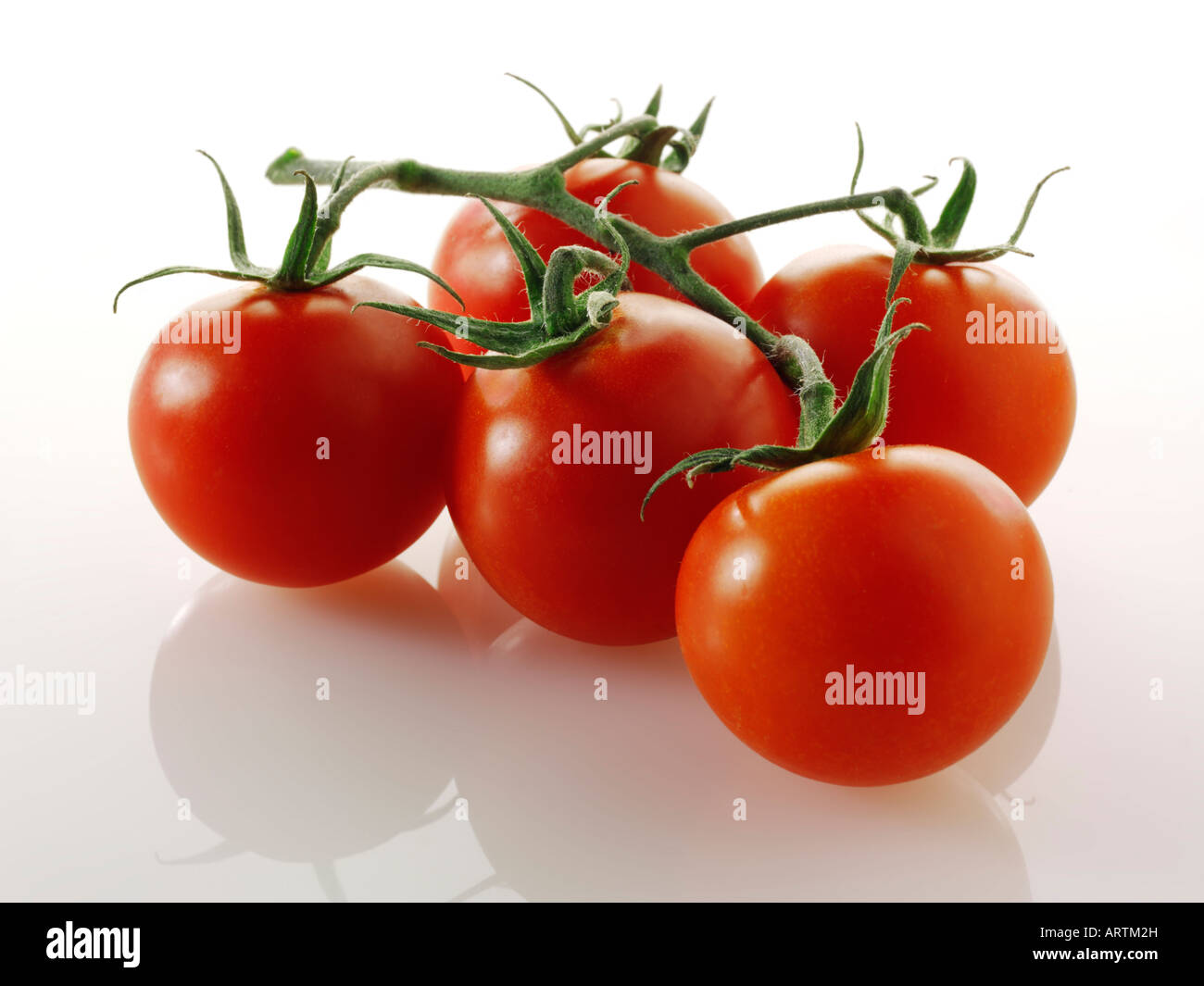 Les tomates de la vigne sur un fond blanc Banque D'Images