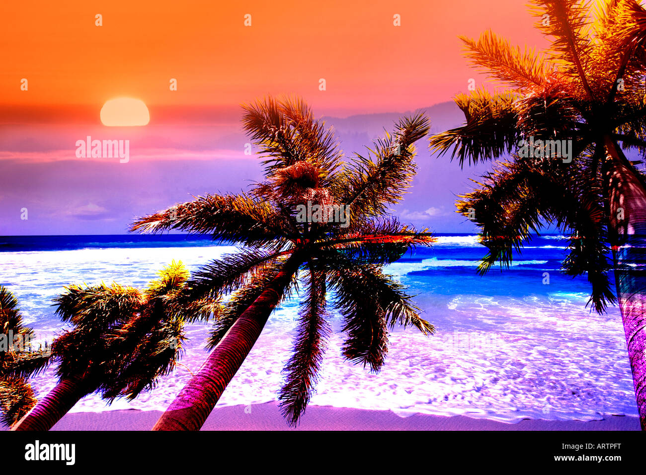 Montage Concept image d'une scène tropicale avec palmiers coucher du soleil et des vagues de plage avec distorsion des couleurs saturées. Banque D'Images