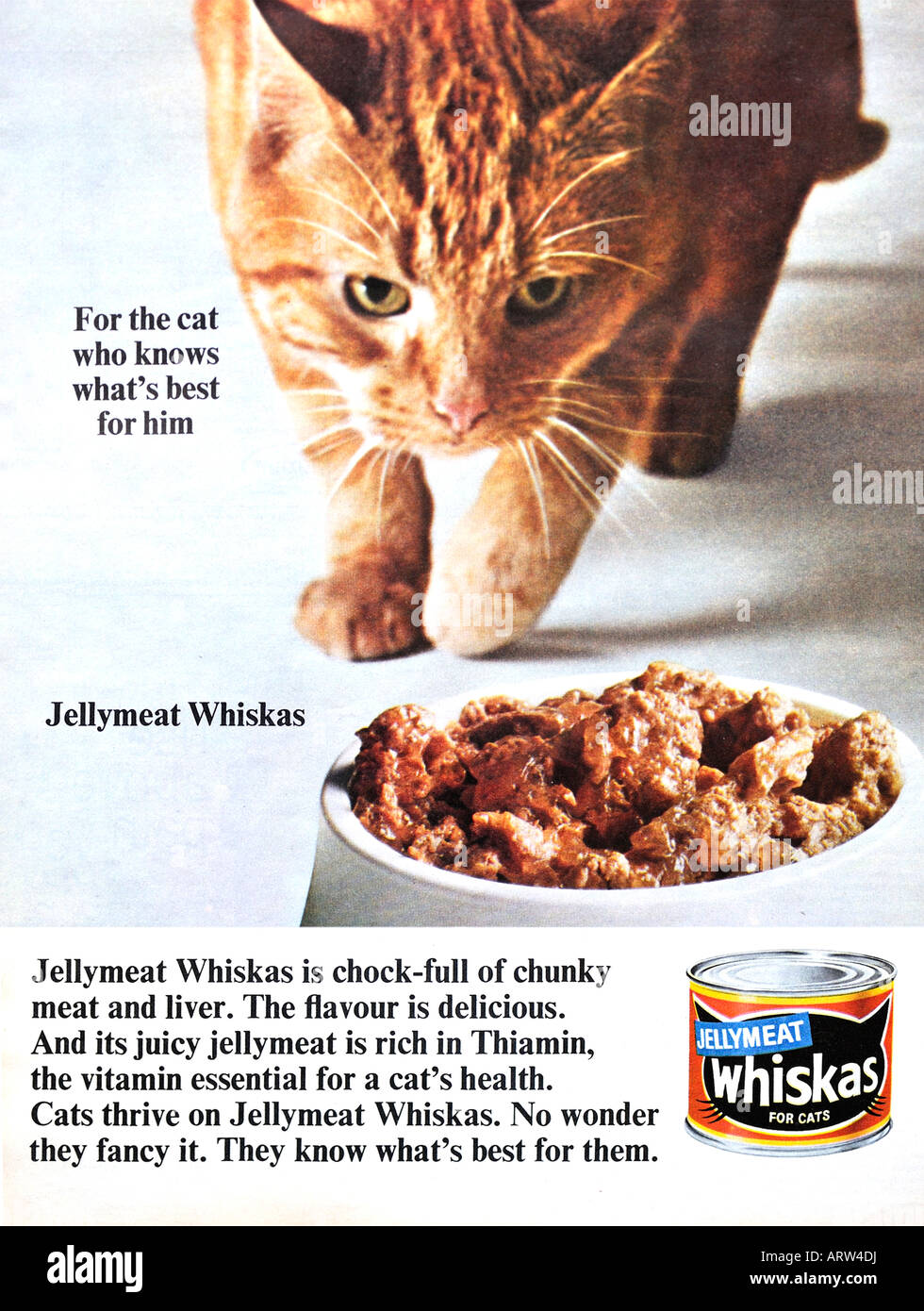 1960 publicité pour la nourriture pour chat Whiskas chair gélatineuse pour un usage éditorial uniquement Banque D'Images