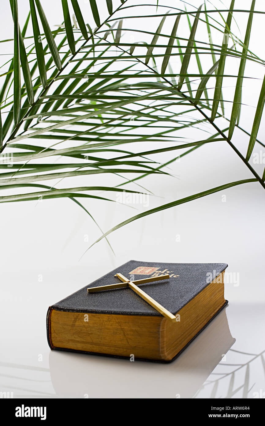 La feuille de palmier crucifix et bible Banque D'Images