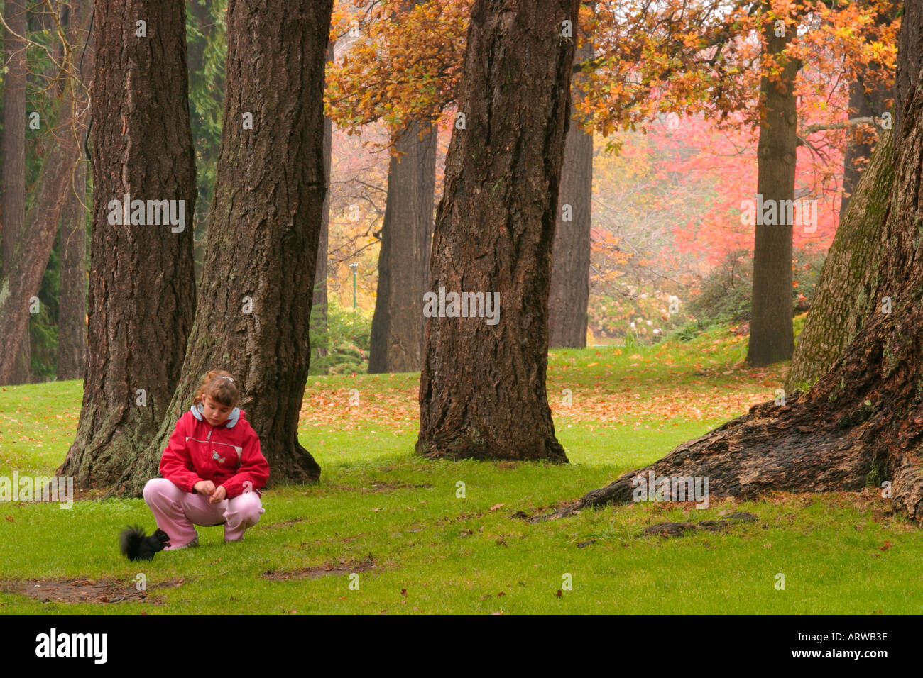 Jeune fille et l'écureuil noir parmi les grands arbres dans le parc Beacon Hill- Victoria British Columbia Banque D'Images