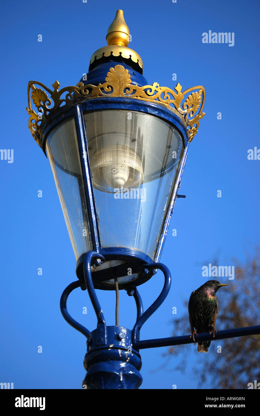 Lampe à gaz. Tour de Londres, Tower Hill, London Borough de Tower Hamlets, Greater London, Angleterre, Royaume-Uni Banque D'Images