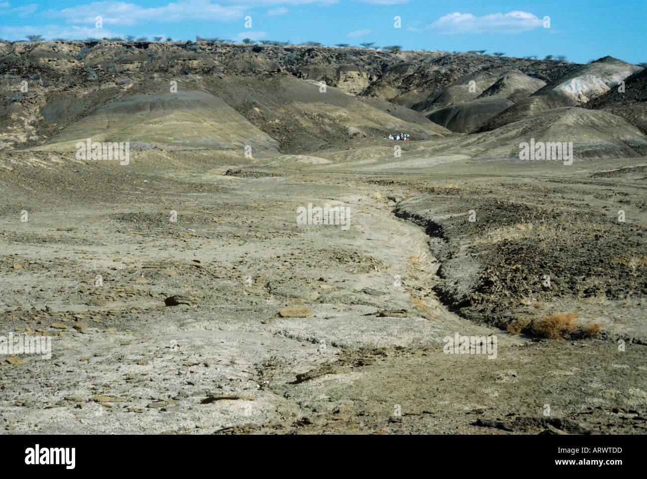 Le paysage aride du Turkana, site de nombreuses importante 'l'homme' découvertes. Dans la distance sont les visiteurs scientifiques Banque D'Images