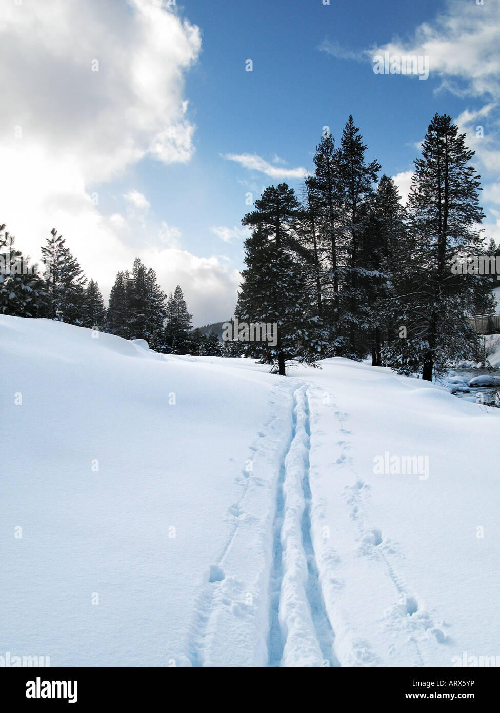 Les pistes de ski dans la neige fraîche de la Californie Truckee Banque D'Images