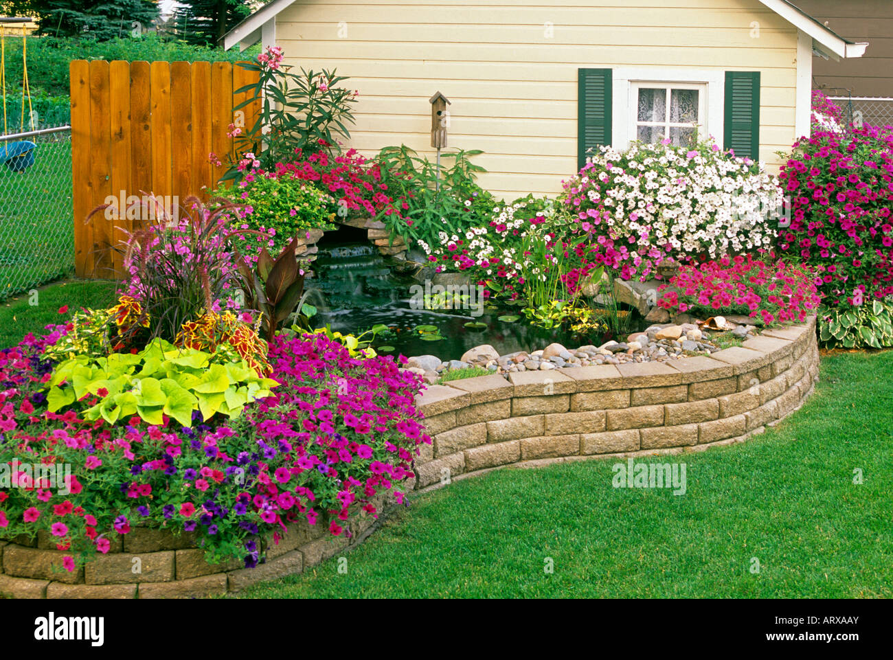 Jardin DU MINNESOTA PAR LE MÉLANGE DE HOUSE, une cascade et un étang. Les pétunias VAGUE, sweet potato Vine, Oléandre, CANNA, COLÉUS ET JACINTHES. Banque D'Images