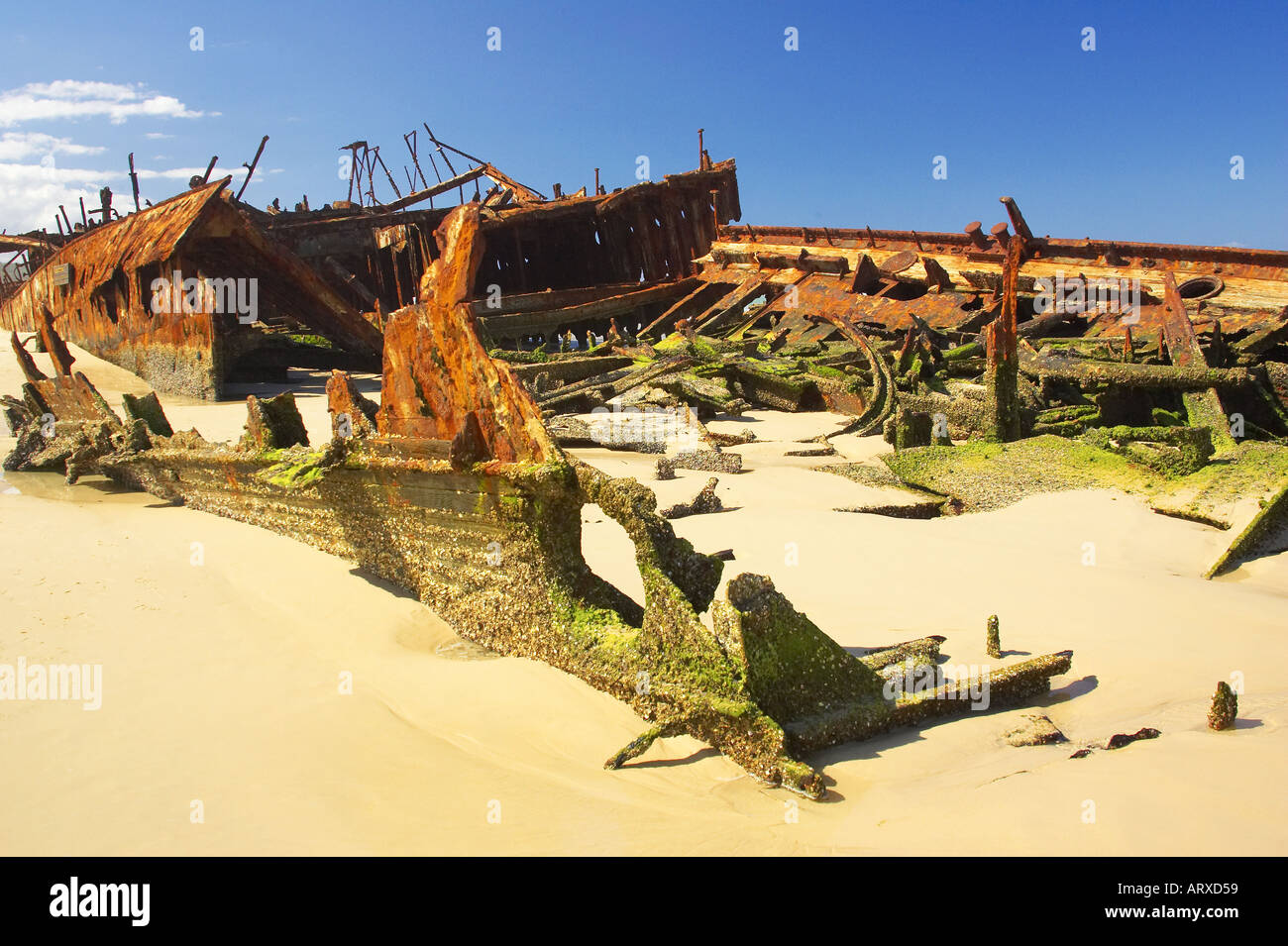 Épave du Maheno soixante-dix Five Mile Beach K'gari / Fraser Island Queensland Australie Banque D'Images