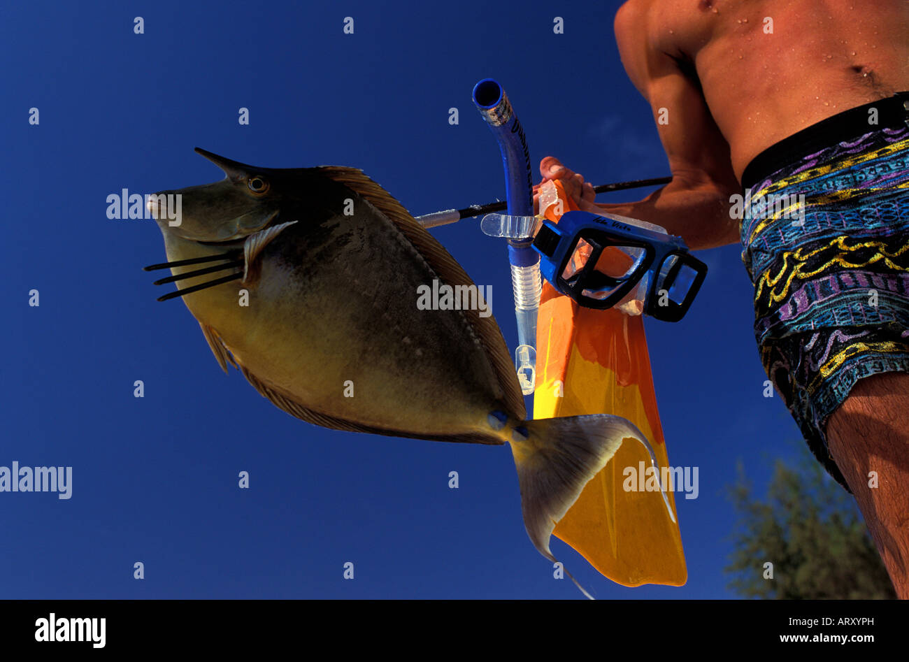 Homme tenant une lance avec un poisson qu'il a pris sur la fin Photo Stock  - Alamy