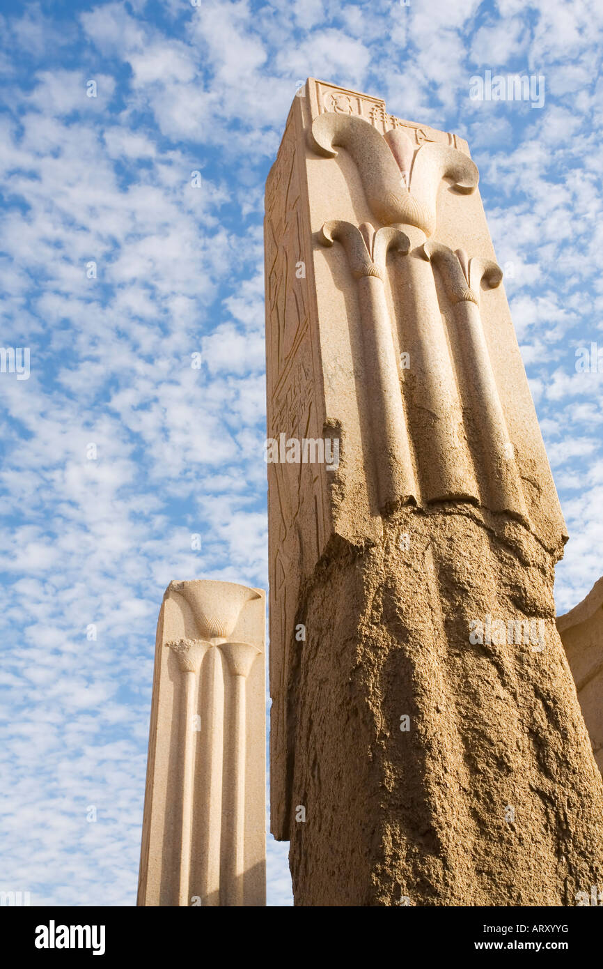 Piliers de granit avec lotus et papyrus décoration Temple d'Amon de Karnak Nouveau Site du patrimoine mondial de l'Egypte Afrique du Nord Banque D'Images