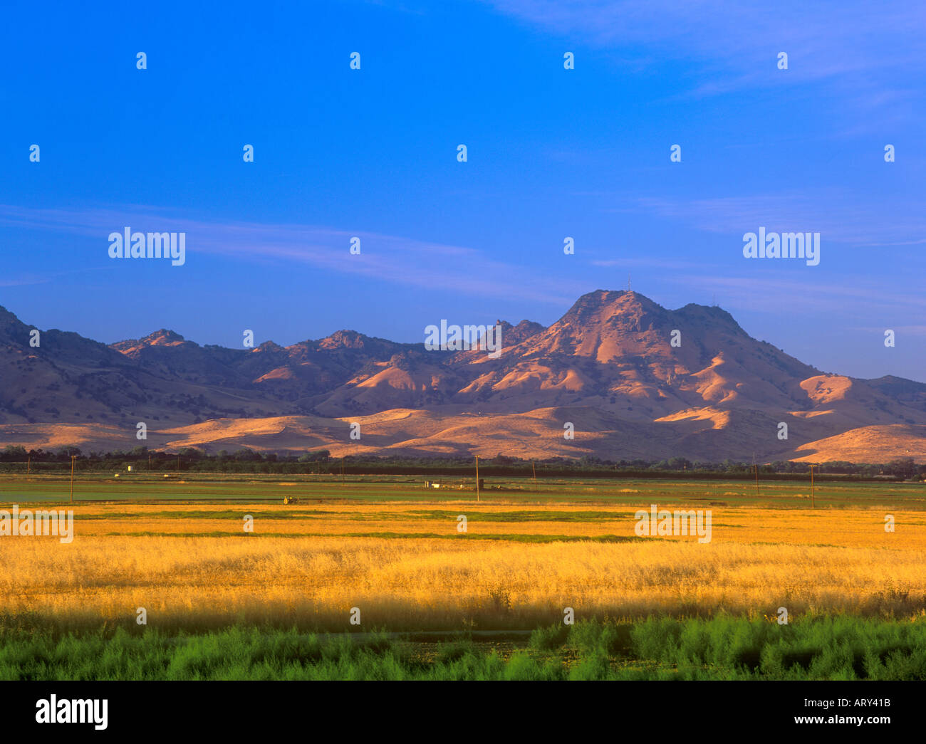 Les terres agricoles et l'Sutter Buttes dans le Sacramento Valley de Californie Banque D'Images