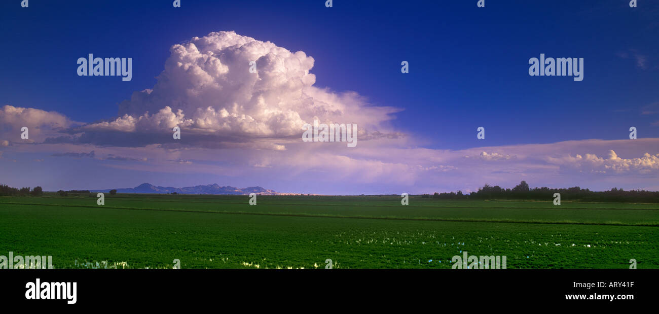 Un coup de tonnerre sur la Sutter Buttes dans la Vallée de Sacramento en Californie Banque D'Images