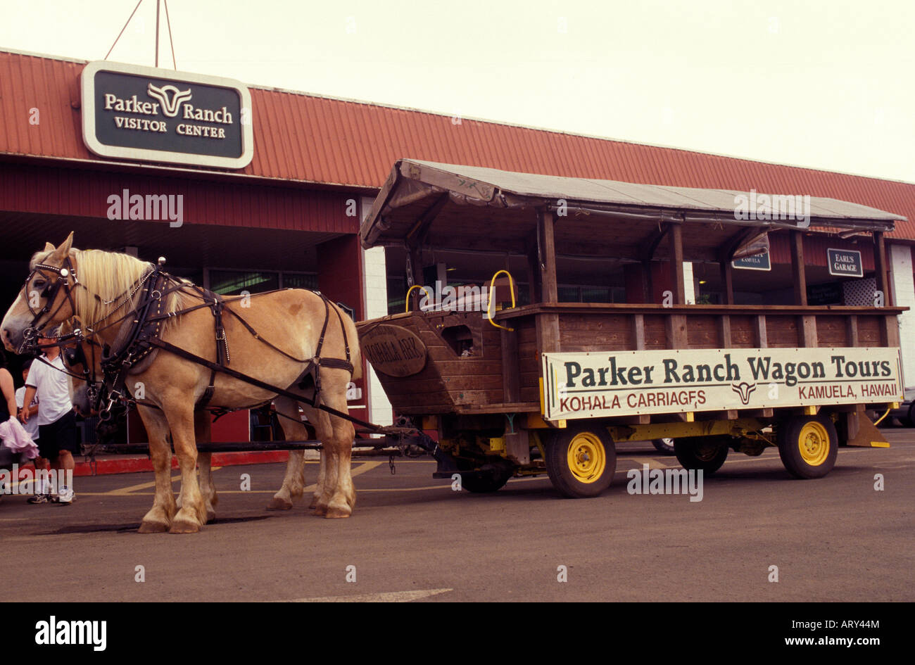 Tour à cheval en face de l'wagon Parker Ranch visitor center à Waimea (Volcano), Big Island Banque D'Images