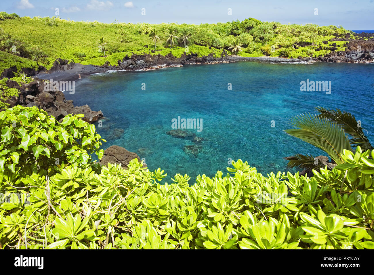 L'eau claire à Waianapanapa State Park, Maui. Banque D'Images