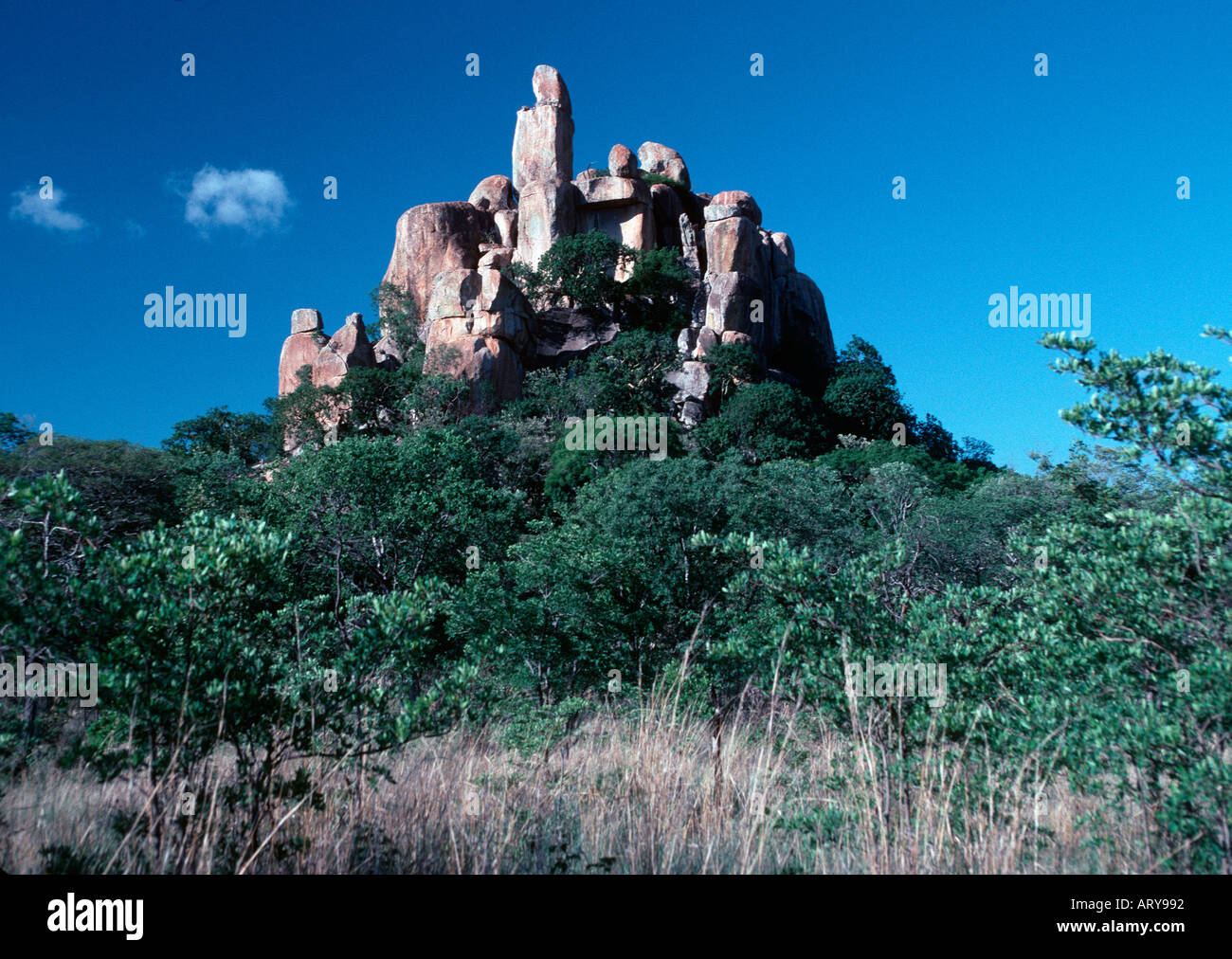 Des affleurements rocheux typiques Rhodes Matopos Parc National Afrique Zimbabwe Banque D'Images