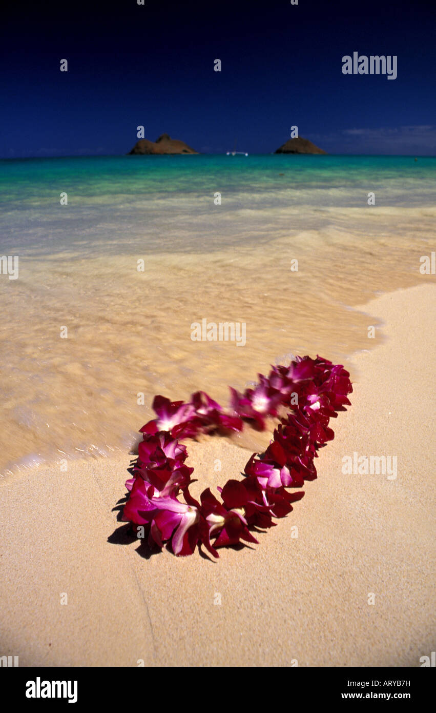 Une belle orchid lei s'installe doucement sur le sable chaud de la plage Lanikai, Oahu. Mokulua islands en arrière-plan. Banque D'Images