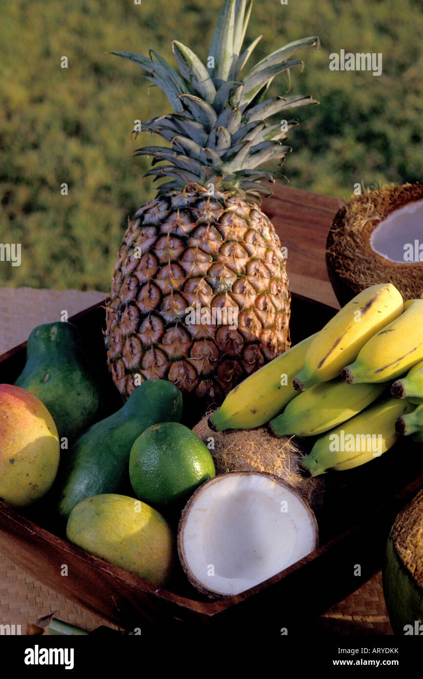 https://c8.alamy.com/compfr/arydkk/les-fruits-de-l-ile-ananas-banane-noix-de-coco-l-avocat-la-papaye-et-la-mangue-arydkk.jpg