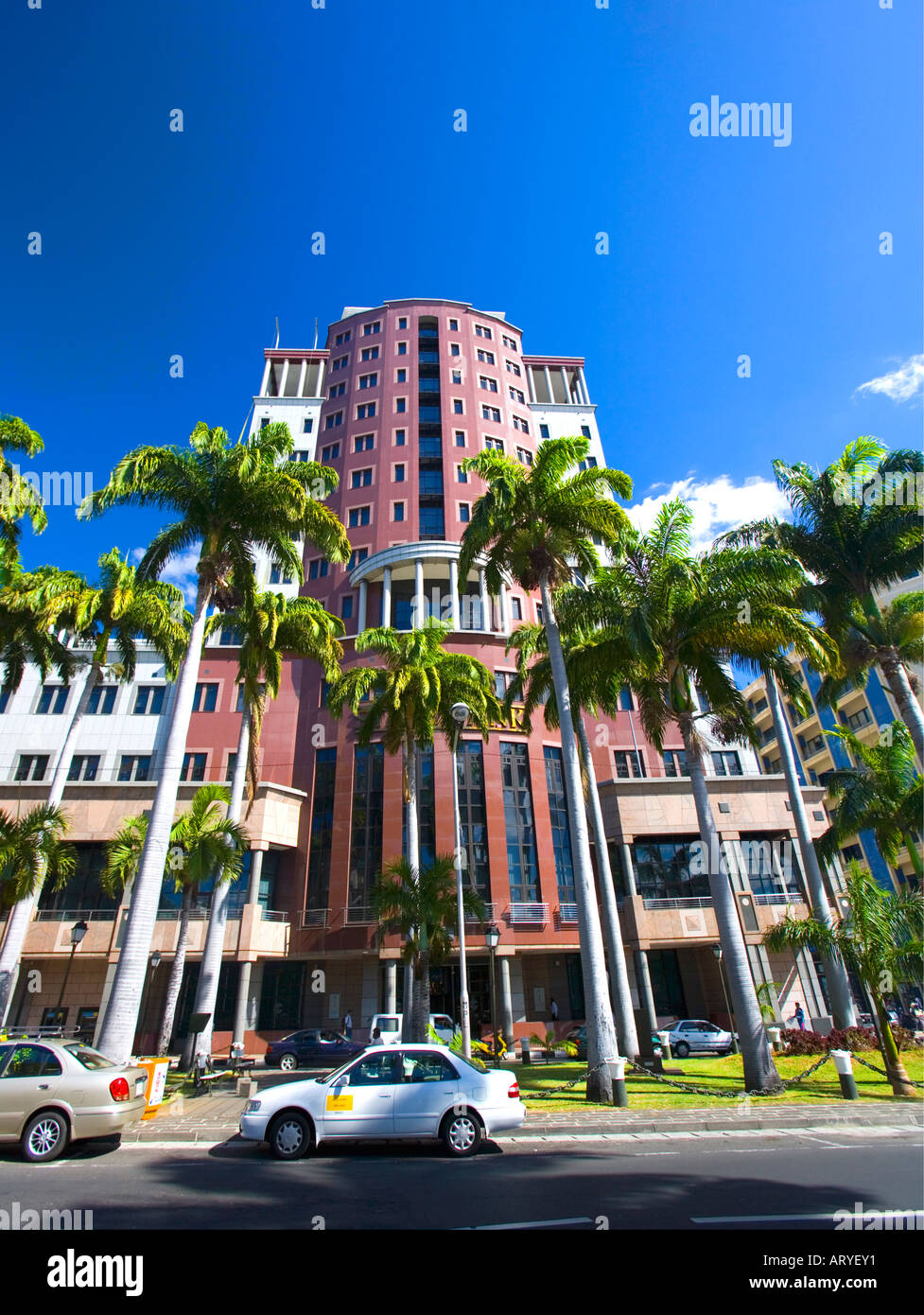 Banque d'État à travers les palmiers à Port Louis, Ile Maurice Banque D'Images