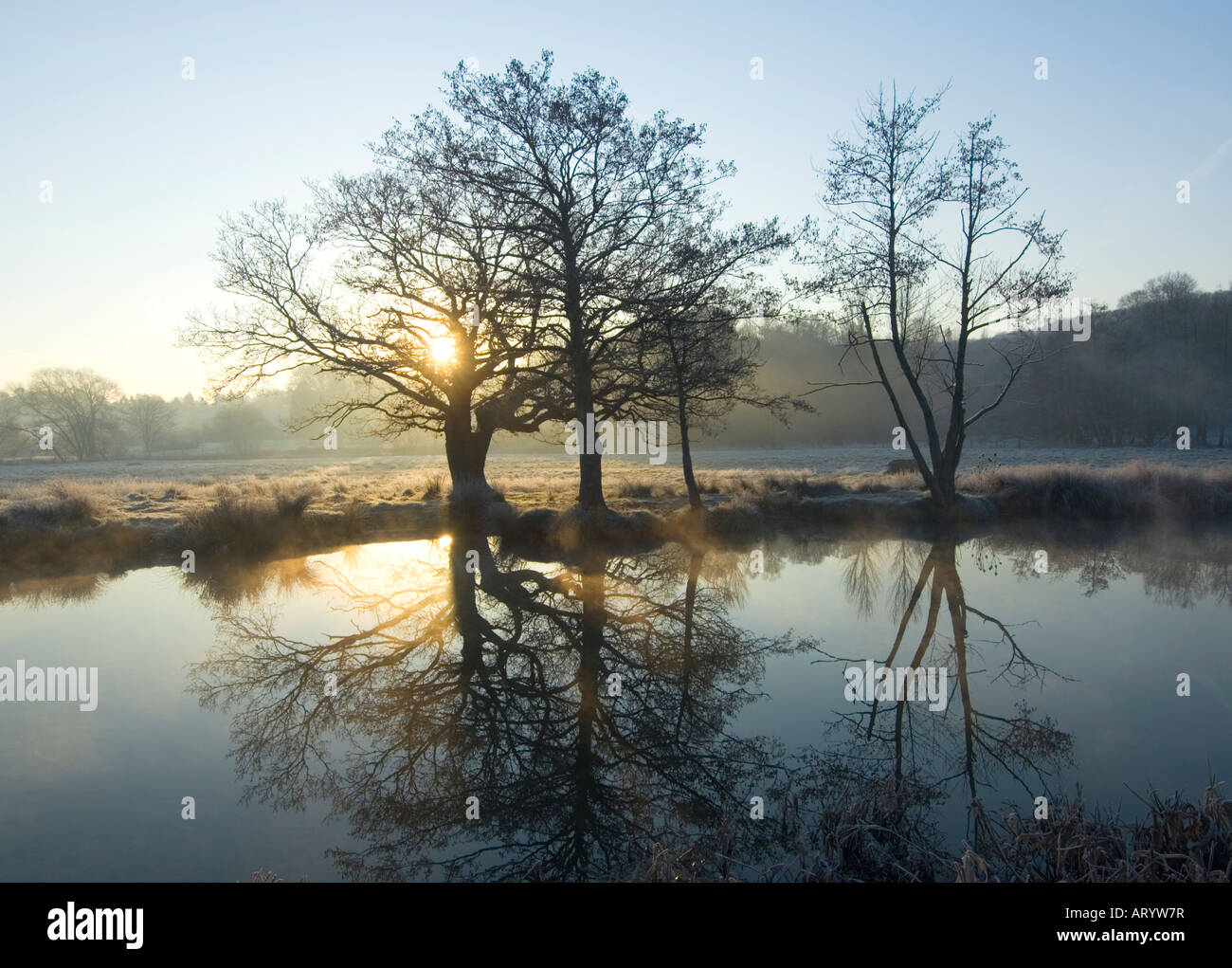 Lever du soleil sur la rivière Wey près de Godalming, Surrey UK Banque D'Images