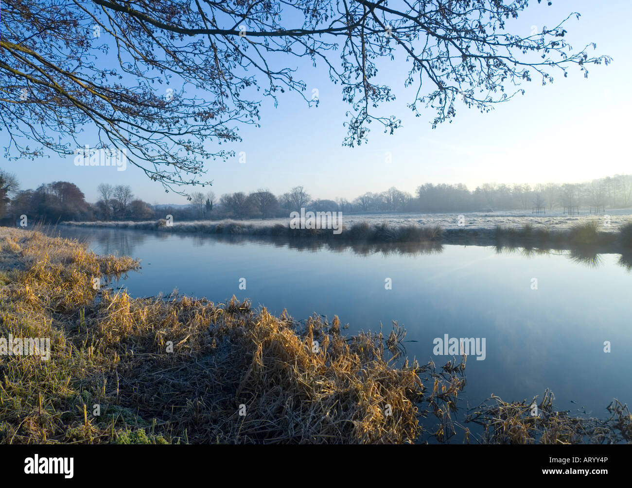River Wey en hiver - Surrey UK Banque D'Images