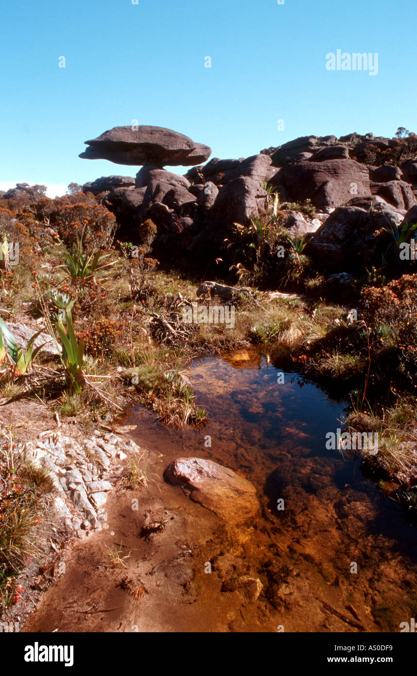 Sommet du Mont Roraima Gran Sabana South Venezuela Banque D'Images