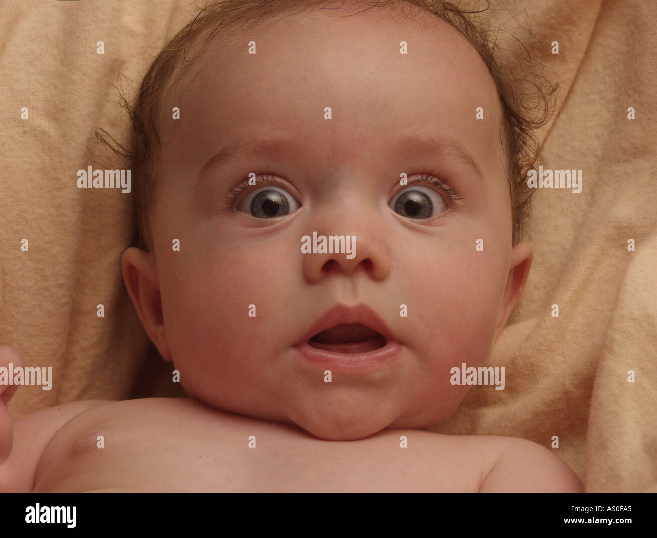 Bebe Avec Un Regard Surpris Sur Elle De Grands Yeux Visage Photo Stock Alamy Bebe Avec Un Regard Surpris Sur Elle De Grands Yeux Visage Photo Stock Alamy