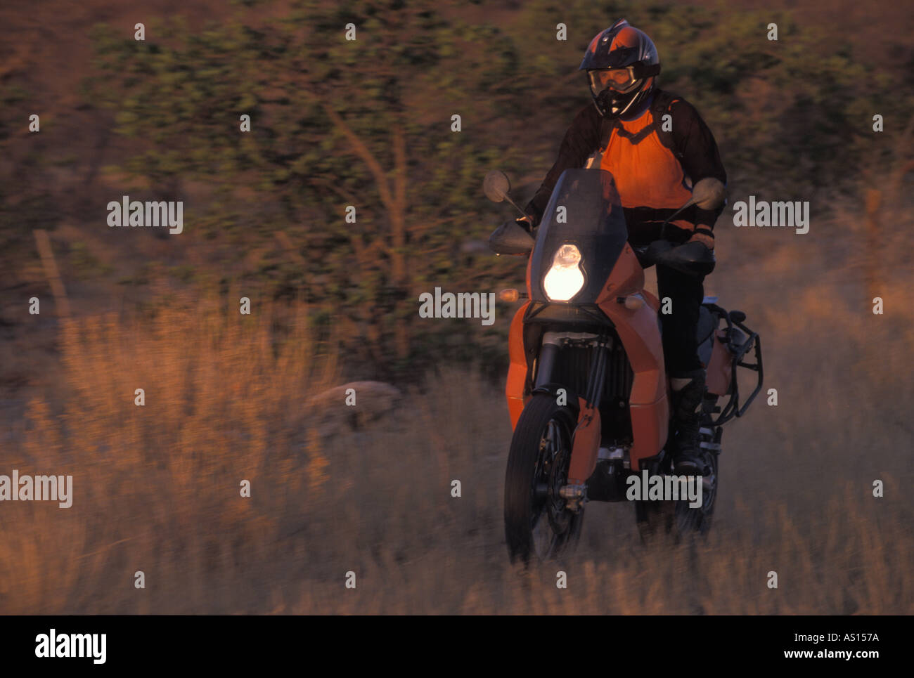 Équitation motard par de l'herbe au coucher du soleil Banque D'Images