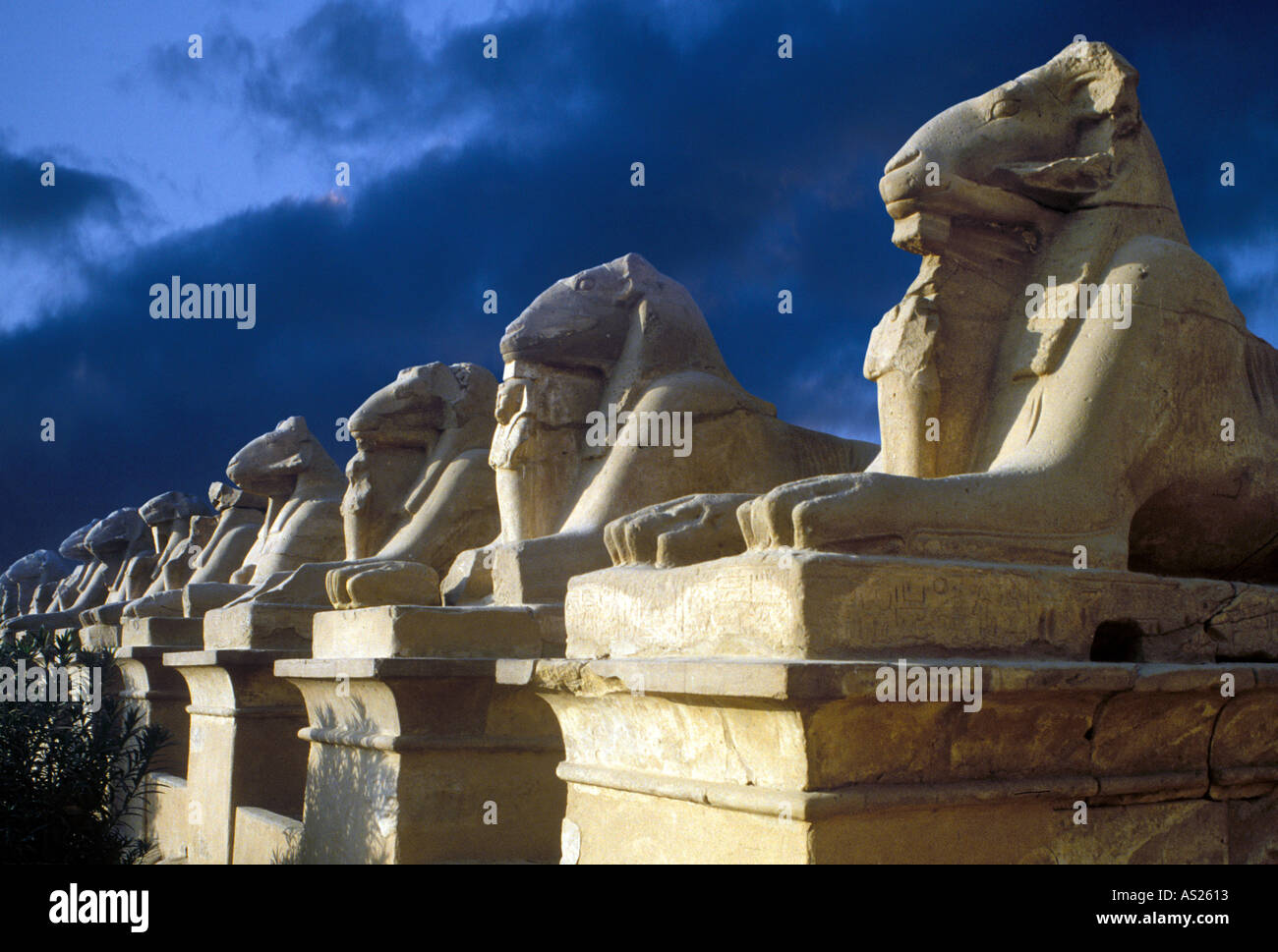 SPHYNX RAM HEAD DANS LE TEMPLE DE KARNAK EGYPTE Banque D'Images