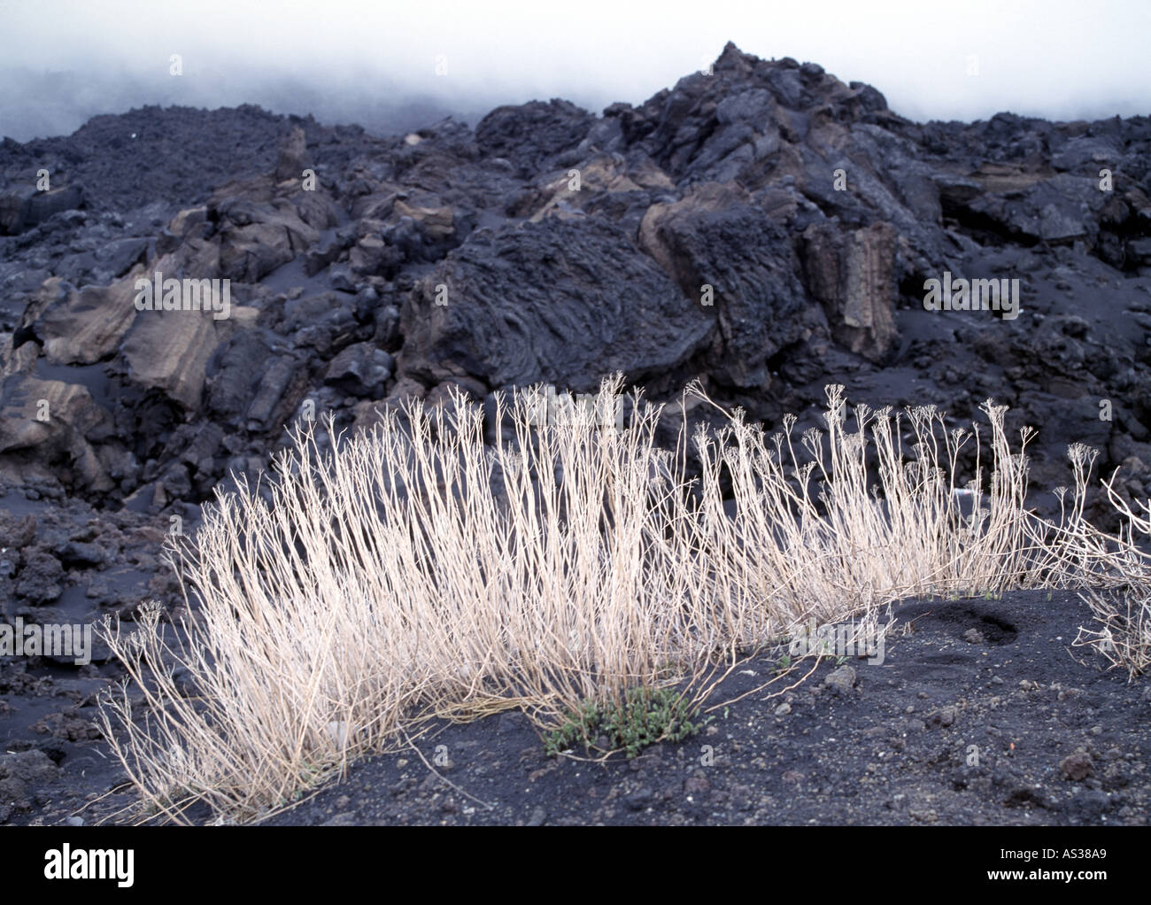 Ätna, beim Rifugio Sapienza, Banque D'Images Ätna, beim Rifugio Sapienza, Banque D'Images